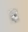 Wombat Pricing