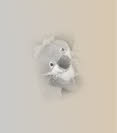 Wombat Pricing